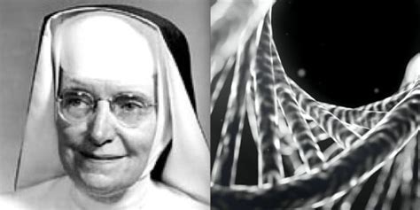 Sister Miriam: The Dominican nun who helped discover DNA - Ave Maria Radio