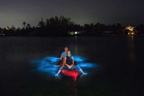 Bioluminescent Bay | A Brush With Rare Aquatic Cosmos - 80 Degrees Today