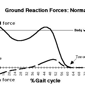 Normal Gait Pattern [8] | Download Scientific Diagram