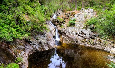 The 7 Best Walks in Cairngorms National Park | Cairngorms national park, Cairngorms, National parks