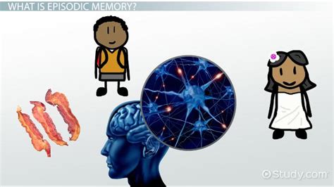 Episodic Memory | Definition, Types & Examples - Lesson | Study.com