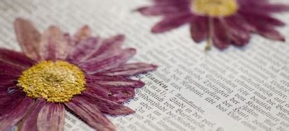 A Beginner's Guide to Pressing Flowers | DoItYourself.com