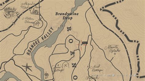 All 30 Dinosaur Bones Rdr2 Map