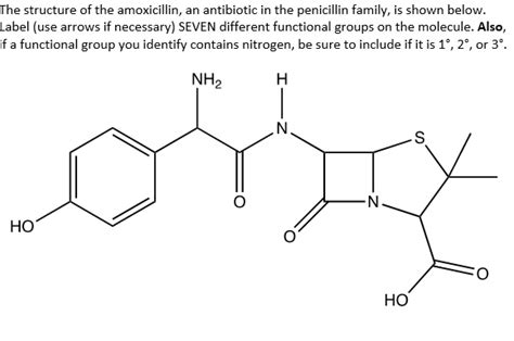 the structure of the amoxicillin an antibiotic in the penicillin family ...