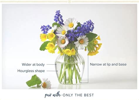 14 Vase Shapes + How to Choose - ProFlowers Blog