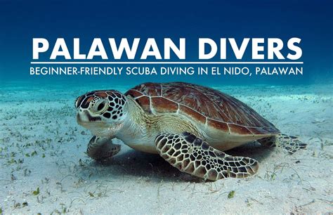 Palawan Divers: Amazing Scuba Diving in El Nido, Palawan | EAZY Traveler