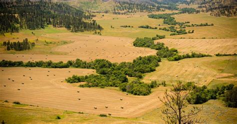 Powder River County Montana Local Working Group | Natural Resources ...