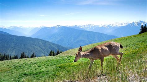 23 Famous Washington State Landmarks You Must Visit