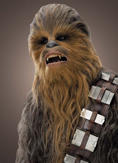 Chewbacca | Wookieepedia | FANDOM powered by Wikia