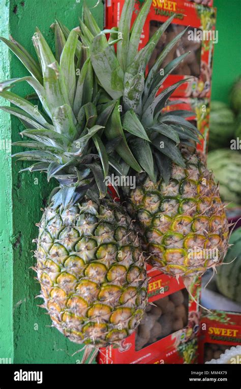 Palay palay hi-res stock photography and images - Alamy