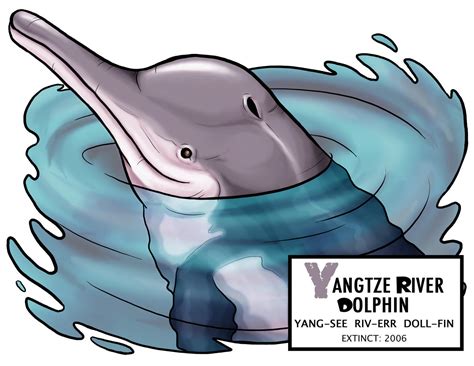 Yangtze River Dolphin by Monster-Man-08 on DeviantArt