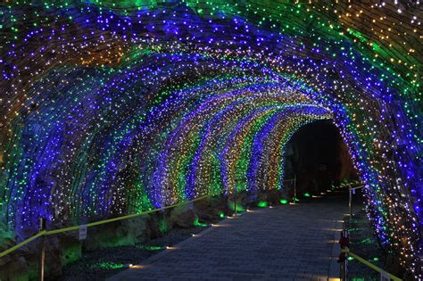 Gwangmyeong Cave (Gyeonggi-do) | This Is Korea Tours