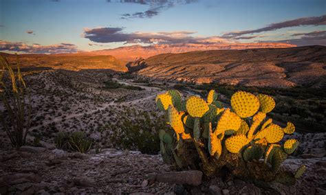 Sunset at Big Bend NP : r/NationalPark