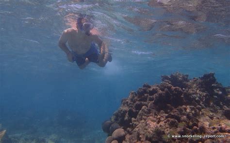 Snorkeling Playa del Carmen, Mayan Riviera | Snorkeling in Mexico