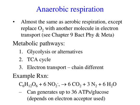 Simple Anaerobic Respiration In Bacteria Equation Math Aa Sl Formula ...