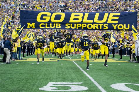 Michigan wolverines