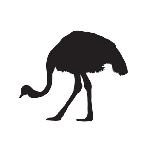 Ostrich isolated black silhouette vector. 14975099 Vector Art at Vecteezy