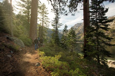 Hiking — West Shore Lake Tahoe | Nature trail, Hiking destinations ...