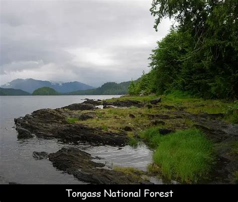 Facts for Kids about Tongass National Forest