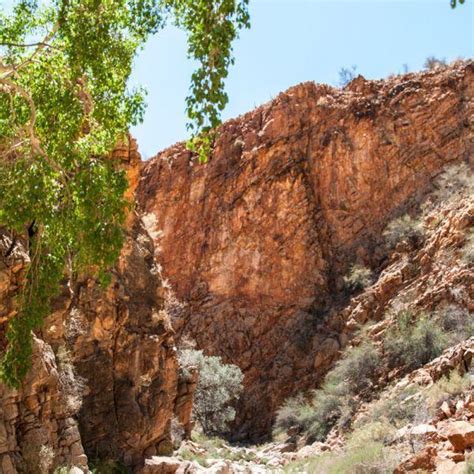 Olive Trail - 10 km long hiking trail in the mountains of the Naukluft