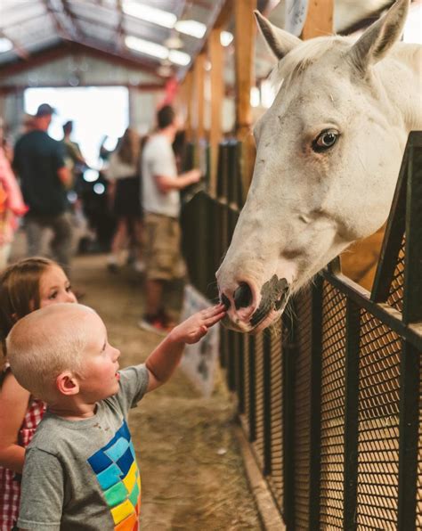 Gallatin County Fairgrounds | Big Sky State Fair | Home