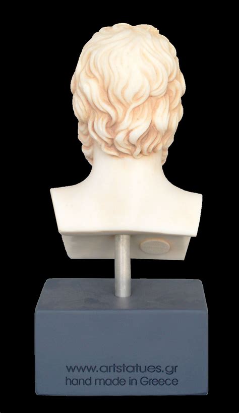 Socrates Bust Statue Western Philosophy Plato Aristotle | Etsy