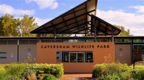 Caversham Wildlife Park Experience in Whiteman near Perth, Western ...