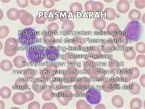 PLASMA DARAH DAN TROMBOSIT