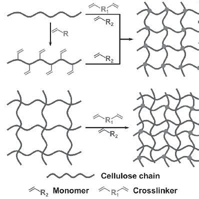 (PDF) Cellulose-Based Gels