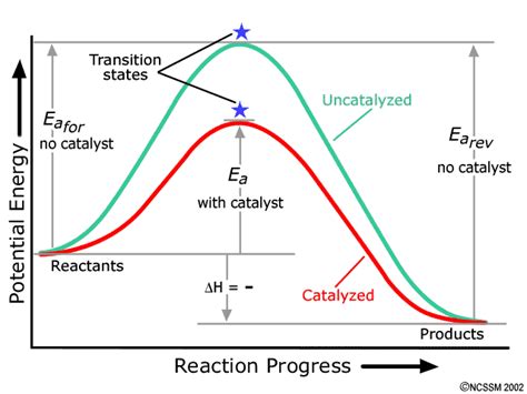 Potential Energy Diagram With Catalyst