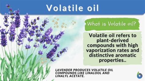 Volatile oil - Definition and Examples - Biology Online Dictionary