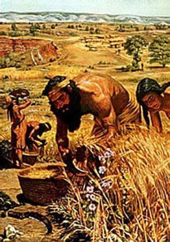 Neolithic Age Farming