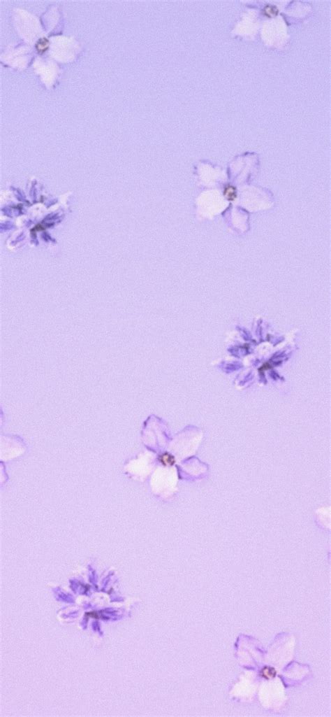 Aesthetic Lavender Wallpaper - Light Lavender Aesthetic Wallpaper iPhone