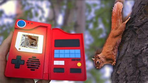 Finding all 289 Squirrel Species on planet earth pt.1 - Save the Squirrels initiative - YouTube