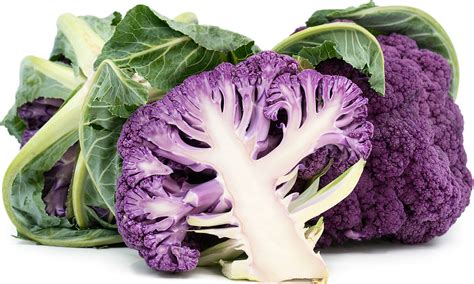 Purple Cauliflower Information and Facts