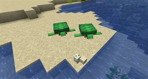 How long does it take for Turtle Eggs to hatch in Minecraft?