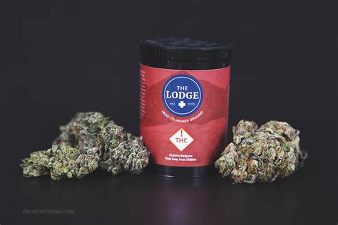 10 Most Exotic Weed Strains 2022- The Lodge Cannabis