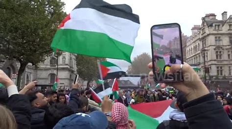 Palestine supporters wave huge flag of Palestine at massive protest in central London - Buy ...