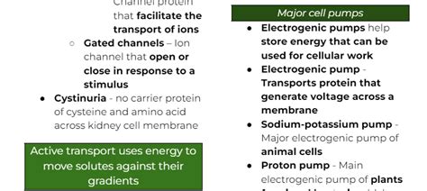 BIOLOGY NOTES