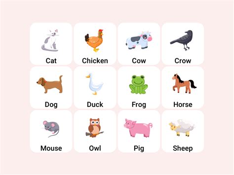 Online flashcards for babies with animal sounds and games | Amax Kids