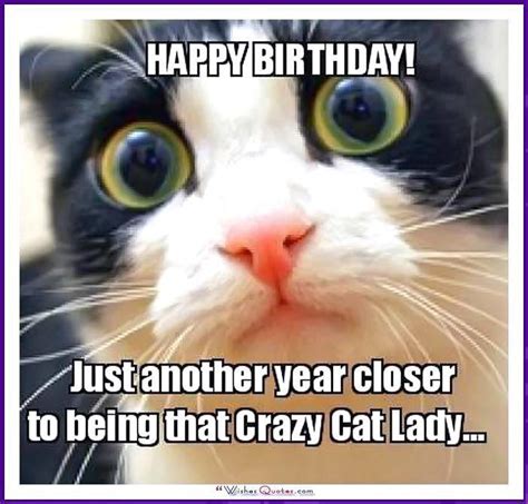 Wishes Quotes - Happy Birthday Memes with Funny Cats, Dogs...