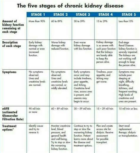 Pin on Kidney Health