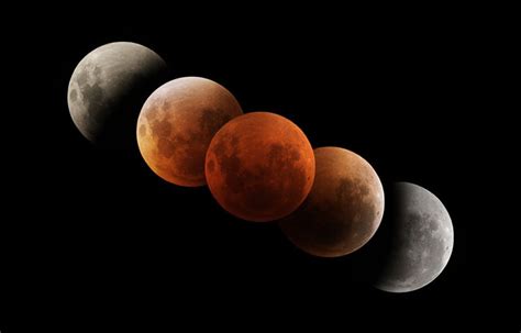 Total Lunar Eclipse on May 26 | Ipoh Echo