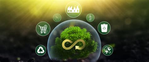 Circular Economy: How Sustainable Practices Are Changing Manufacturing ...