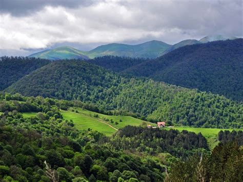 Dilijan National Park