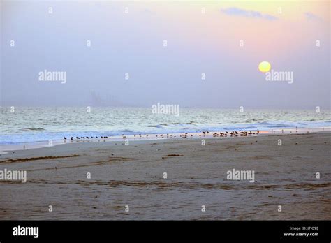 Sunset on the beach at Salalah, Oman Stock Photo - Alamy