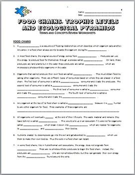 Ecological Pyramid Worksheet Answer Key