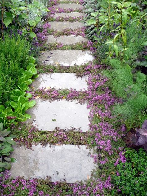 15 Beautiful Plants And Ground Cover For Garden Pathways | Home Design ...