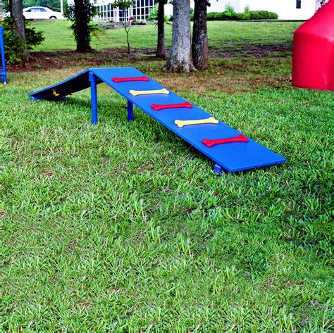 Dog Agility Equipment | Dog Agility Training Equipment | Dog Agility Course Equipment