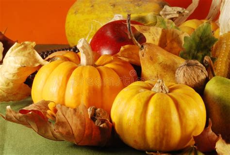 Autumn still life stock image. Image of gourds, bottle - 3251841